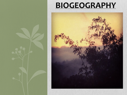 Biogeography / Ecosystems. Fully differentiated KS3 lesson- introduction to ecosystems