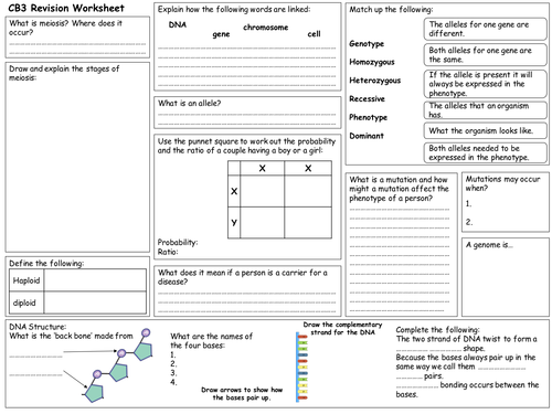 Edexcel CB3 Revision Worksheet