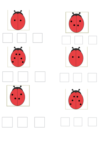 Y1 Doubling Ladybird