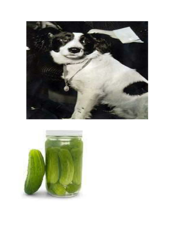 Days that shook the world - The Theft of the World Cup