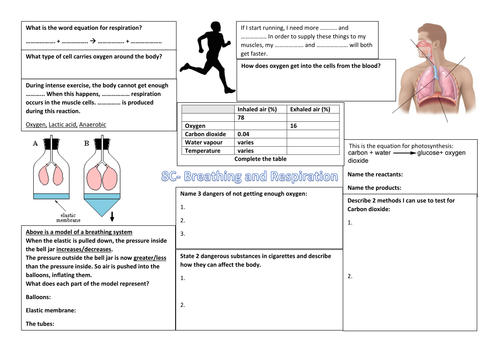 Exploring Science 8C- Breathing and Respiration Revision poster