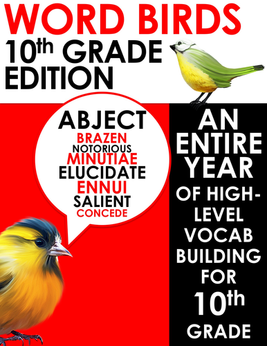 Word Birds Word of the Week Year 10 High-Level Vocabulary Builder: 40 Lessons!