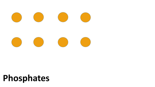 Create a DNA template