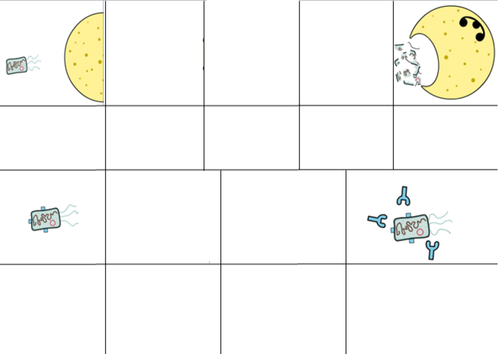 Immunity, white blood cells & antibodies