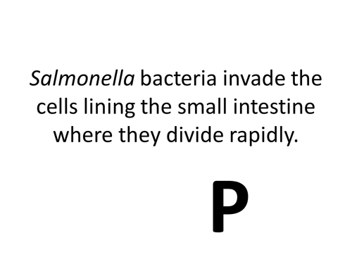 Salmonella food poisoning activity, new GCSE (9-1) or A level AQA