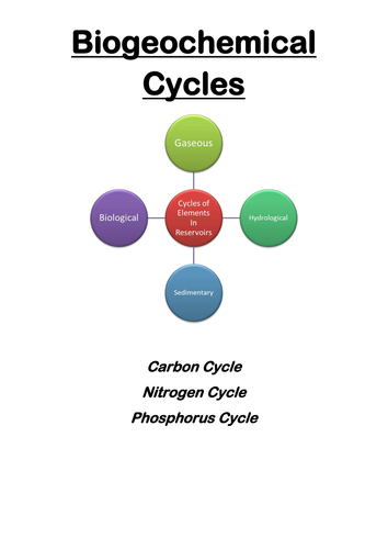 Biogeochemical Cycles: Carbon, Nitrogen, Phosphorus (Environmental Science/ Geography)