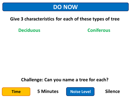 Wood Properties and Characteristic literacy focus  lesson new vocabulary 