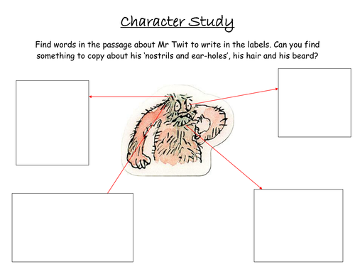 Roald Dahl Character study of Mr.Twit