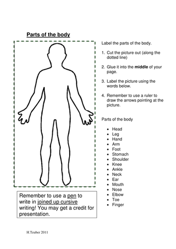 Parts of the Body