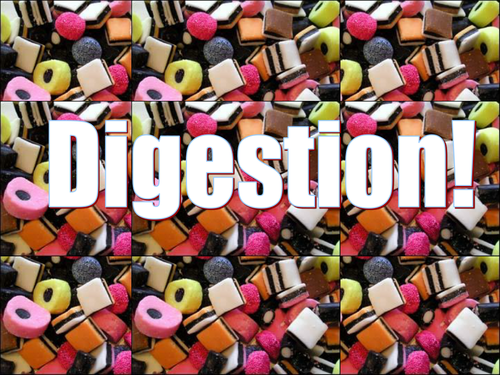 Digestion Slideshow