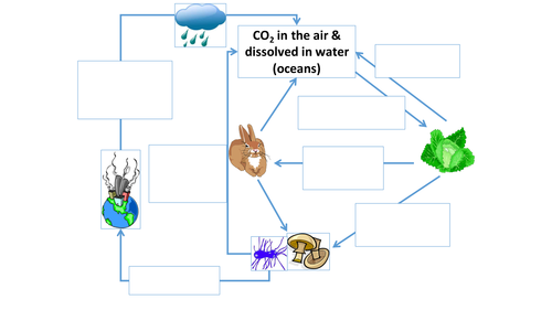 carbon-cycle-teaching-resources