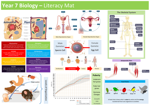 Year 7 Biology Literacy Mat by - UK Teaching Resources - TES