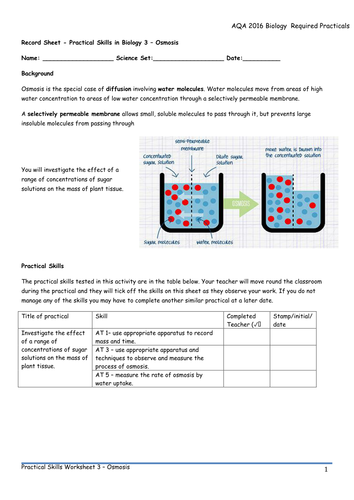 Cheryl Anne's Science Resources - Teaching Resources - Tes