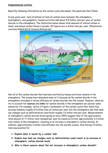 Carbon Cycle - Applying knowledge