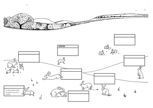 Life processes - lesson ideas and resources
