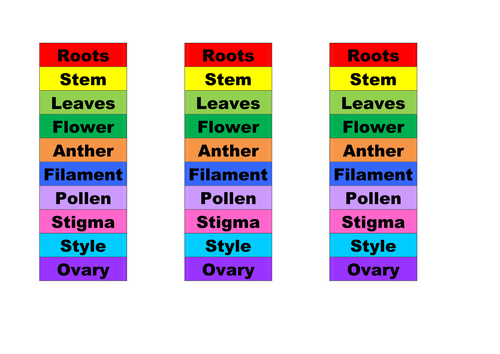 Parts of plant labels 