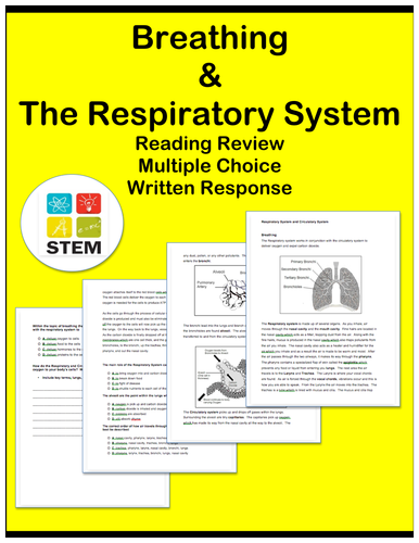 Respiratory System: Passages and Questions