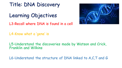 DNA structure and discovery
