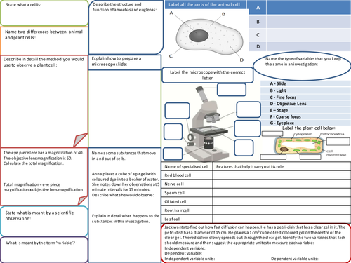 Skills based revision mats  - KS3 or KS4