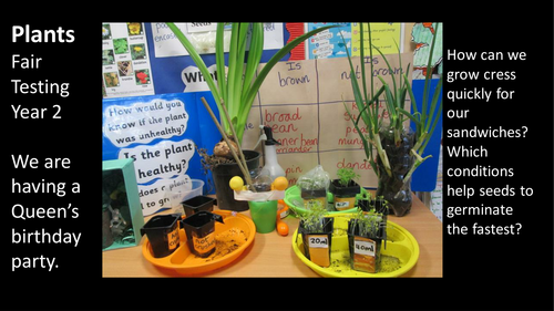 Plants  Fair Testing Investigation using cress