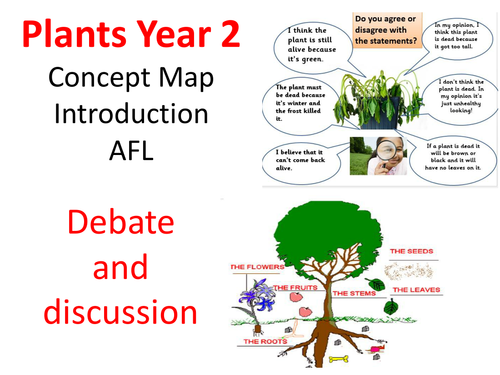 Plants Concept map and Assessment Task