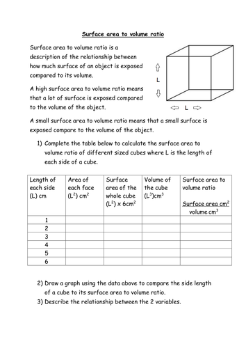 A Level Biology Surface Area To Volume Ratio Teaching Resources 