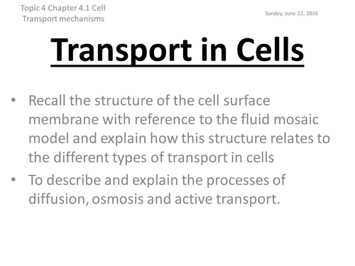 Edexcel Biology B - Topic 4 - Lesson 2 - Cell Transport MEchanisms