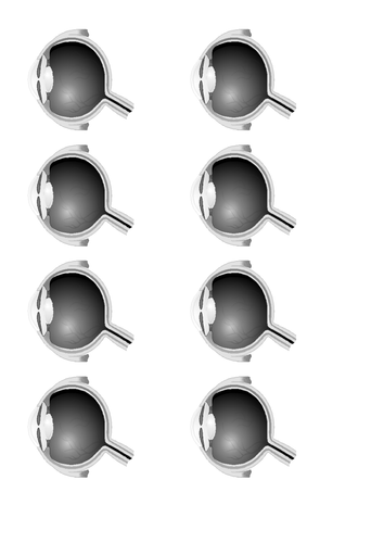 Edexcel P3.2 - How eyes work