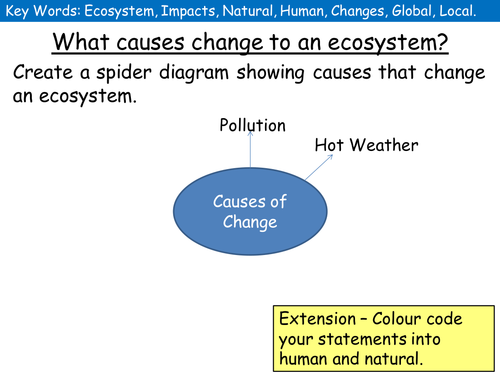 (New AQA) Lesson 3: How does change effect an ecosystem?