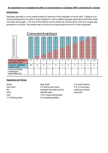 Investigating factors affecting enzymes
