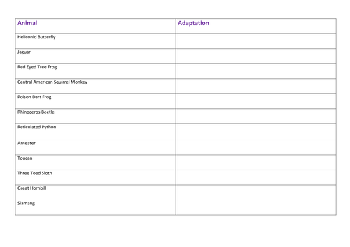 Rainforest Animal Adaptations
