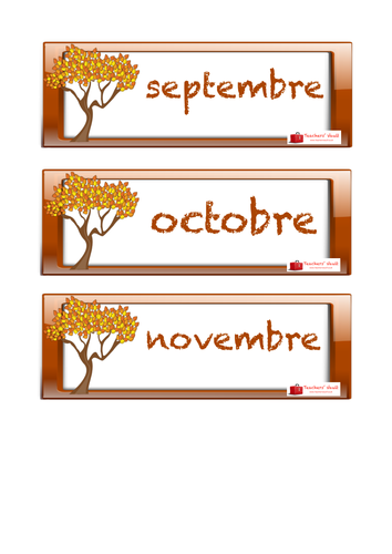 French Months Of The Year Labels or Flashcards 