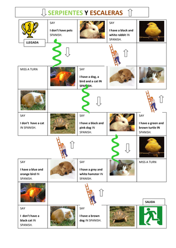 SNAKES AND LADDERS IN SPANISH- PETS-