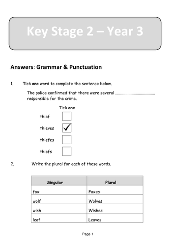 Year 3 Grammar Assessment ANSWERS