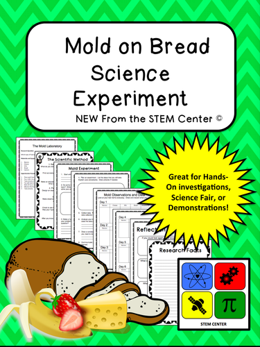 Biology Lab: Mold and Bread Experiment