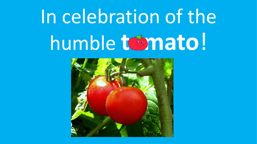 Spanish Teaching Resources. La Tomatina. End of term lesson!