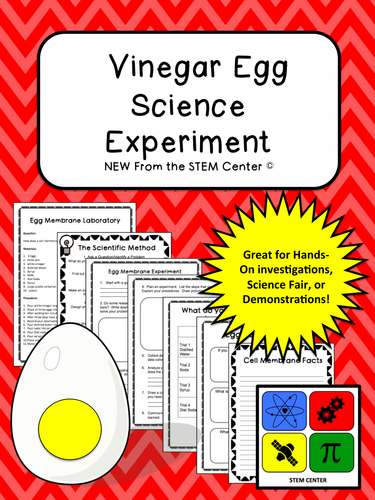 Cells: Vinegar Egg Lab