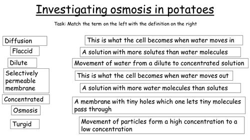 Osmosis potato practical