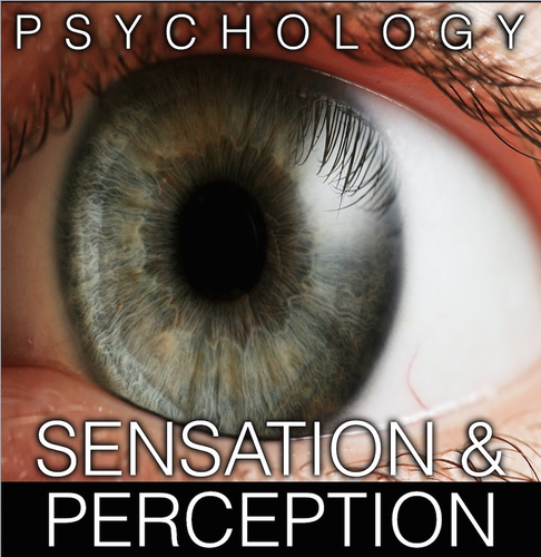 sensation and perception psychology definition