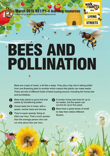 WOW March 2016 - Bees and pollination KS1