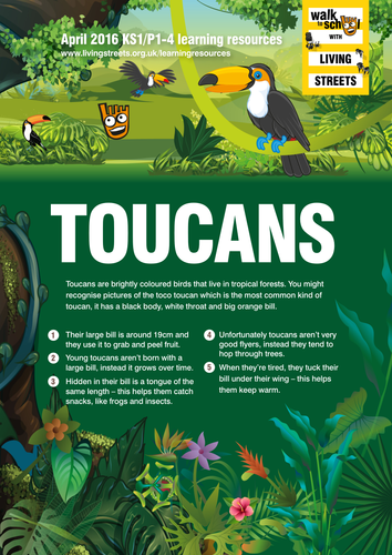 WOW April 2016 - Toucans KS1