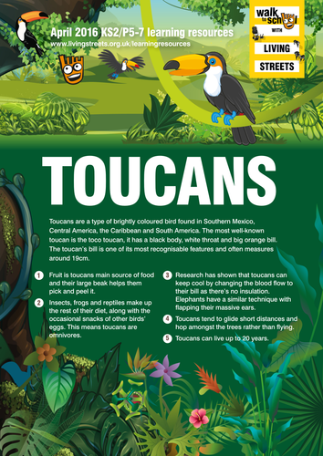 WOW April 2016 - Toucans KS2