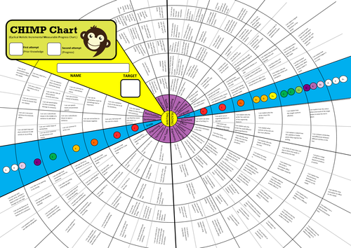 CHIMP Chart - Self and Peer Assessment