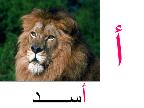 Learn Arabic alphabet in easy way