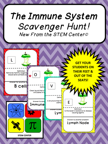 Immune System SCAVENGER HUNT!