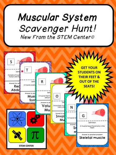 Muscle System SCAVENGER HUNT!