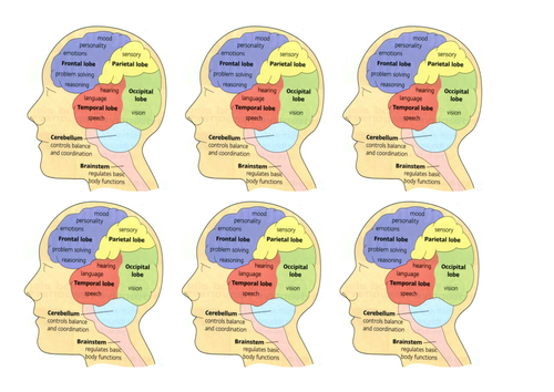 The Brain and Mind (#ReadyToGo)