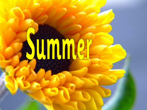 Summer Topic Bundle