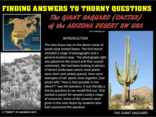 THE SAGUARO OF THE ARIZONA DESERT - FROM PHOTO TO SKETCH TO EXPLANATION