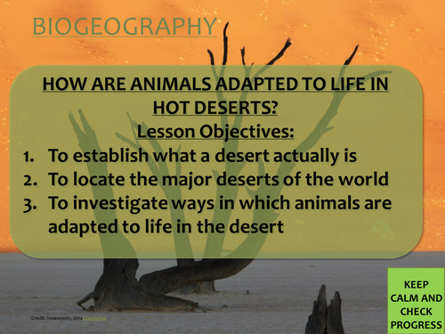 Biogeography/ Ecosystems KS3 lesson- how are animals adapted to life in hot deserts? 